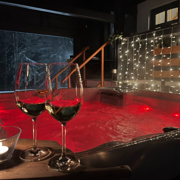 Chalet MINT, Chalet MINT with Jacuzzi and sauna, Delnice, Gorski Kotar, Croatia Delnice