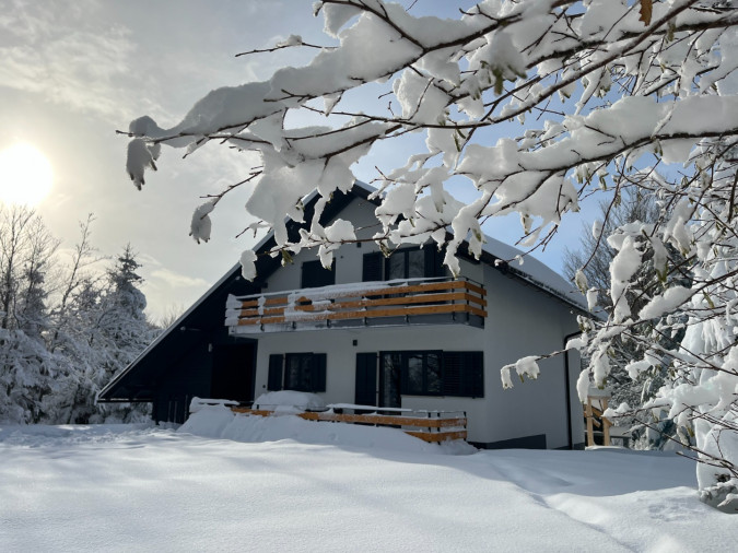 Exterior, Chalet MINT with Jacuzzi and sauna, Delnice, Gorski Kotar, Croatia Delnice