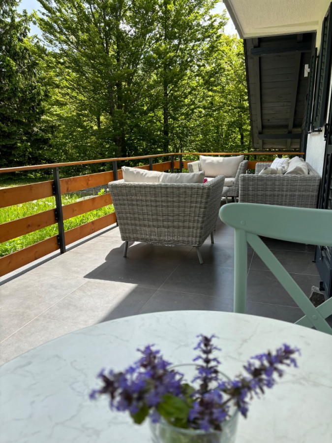 TOUCH THE QUIET, Chalet MINT with Jacuzzi and sauna, Delnice, Gorski Kotar, Croatia Delnice