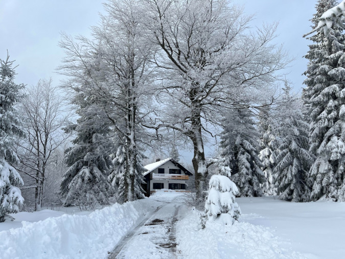 Dodirnite tišinu, Chalet MINT - gorska kuća za odmor s jacuzzijem i finskom saunom u blizini Delnica Delnice