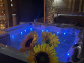 Jacuzzi & finish sauna, Chalet MINT - mountain holiday house with jacuzzi near Delnice Delnice