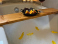 Bathrooms, Chalet MINT - mountain holiday house with jacuzzi near Delnice Delnice